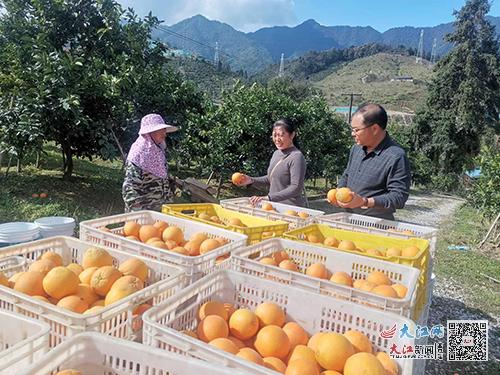 崇义县铅厂镇 保果促销解民忧 党群同心显真情